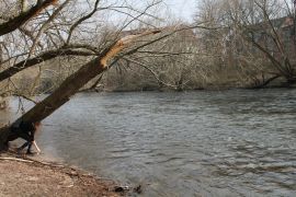 2018 03 24 SaalePUTZ 38